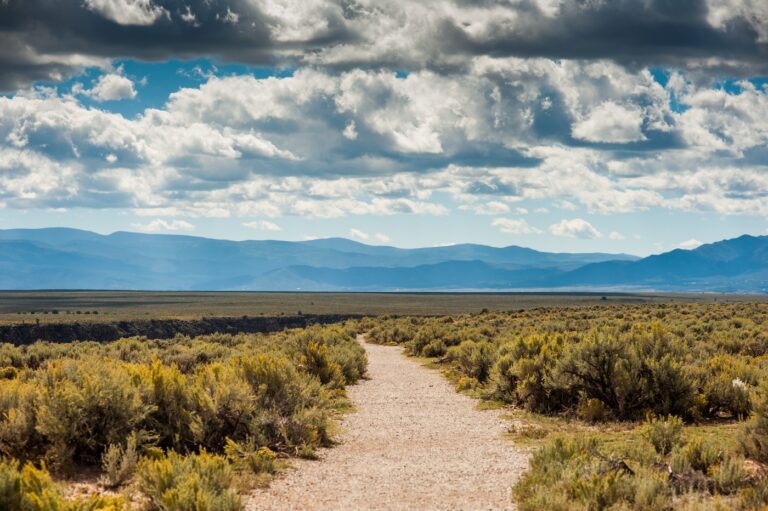 placitas landscape